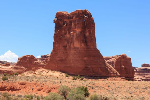 Arches national park in Utah  - USA