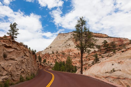 Road through Zion Park in Utah, USA