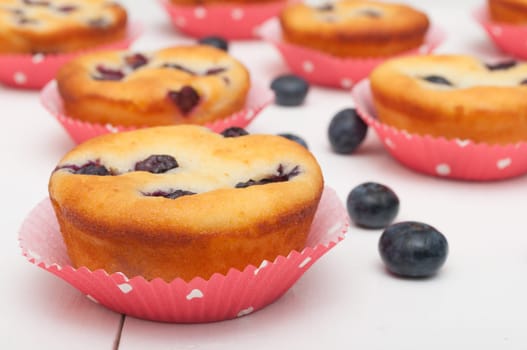 Homemade Blueberry Muffins on White Table