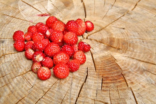 Wild strawberries are on stup seems very tasty