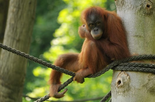 At Leipzig Zoo