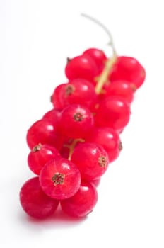Red currants blurred on white background