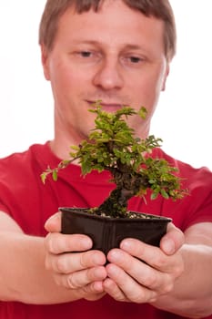 Man holding a bonsai tree (Ulmus japonica) in his two hands
