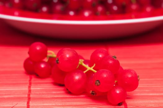 Close-up of red currants on red background in front of a plate