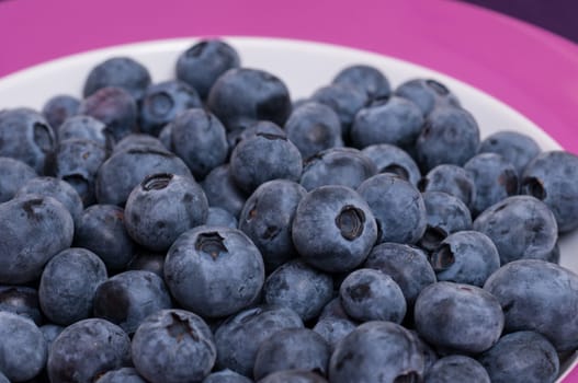 Blue blueberries on a plate as a close-up