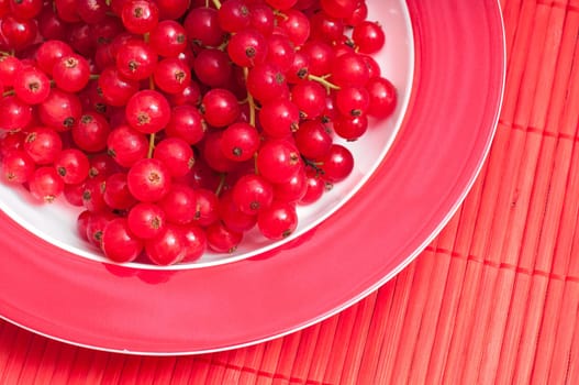 Red currants tone-on-tone with plate and tablecloth