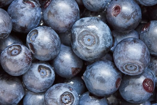 Close-up of fresh blueberries filling the frame