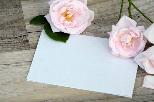 Letter voucher with roses