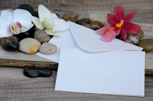 Letter Voucher Flowers Orchids