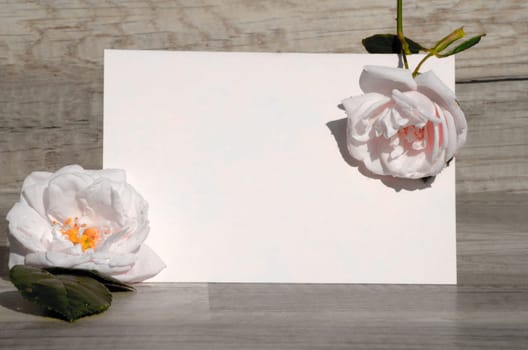 Letter voucher with roses