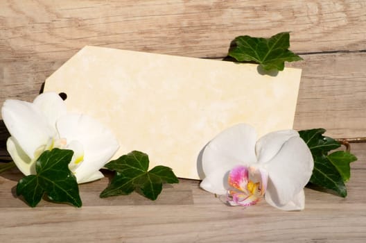 Letter voucher with roses
