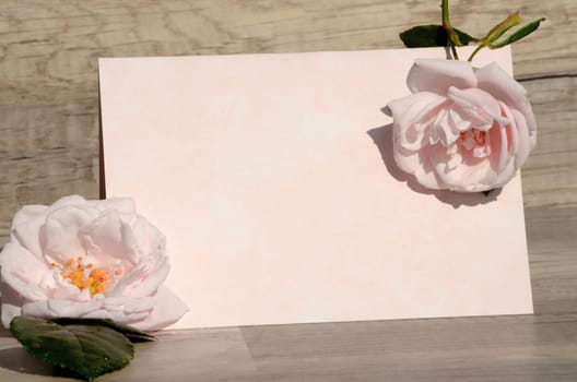 Letter voucher with roses