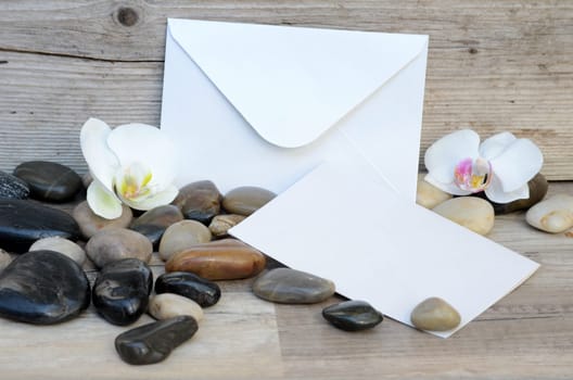 Letter Voucher Flowers Orchids