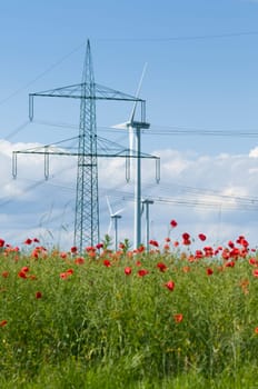 Rapeseed field with many poppy flowers in the foreground and high-voltage pylon and wind turbines in the blurred background