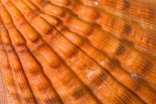 Detail close-up of an orange-colored grooved mixing bowl