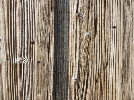 Old wood