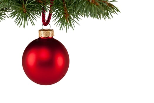 Red Christmas ball on fir branch,isolated against white background