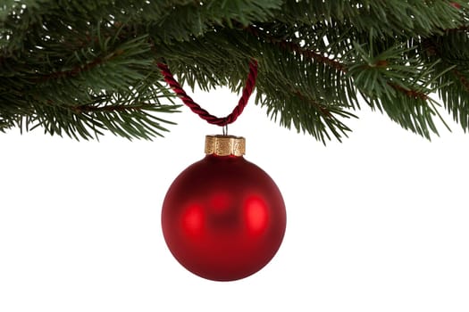Red Christmas ball on fir branch,isolated against white background