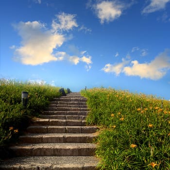 Daylily flower at sixty Stone Mountain in Taiwan Hualien festival