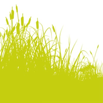 Blades of grass with reeds