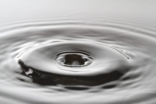 Water Splash