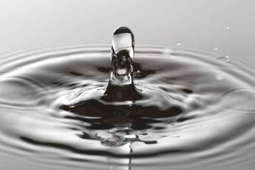 Water Splash