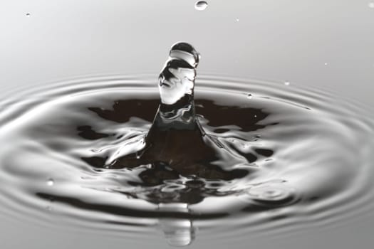 Water Splash