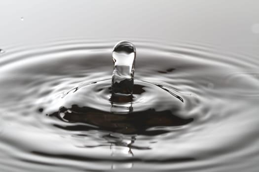 Water Splash