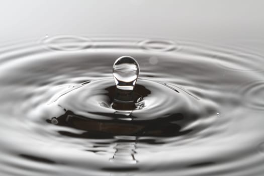 Water Splash