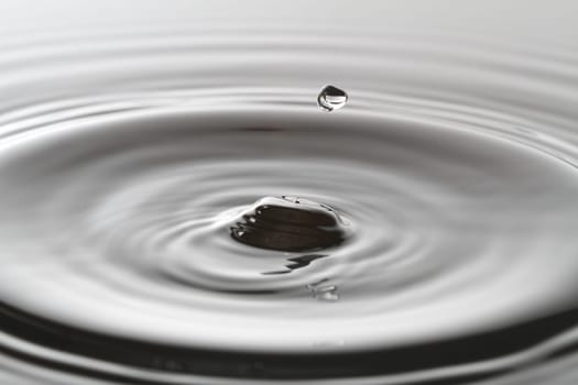 Water Splash