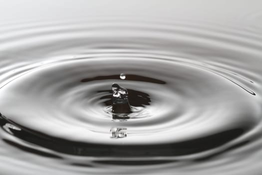Water Splash