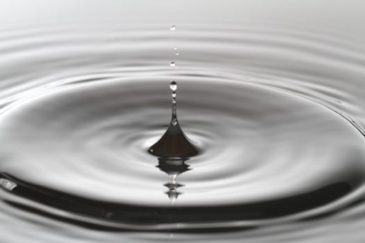 Water Splash