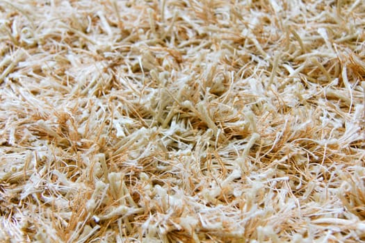 Carpet Background - Brown White