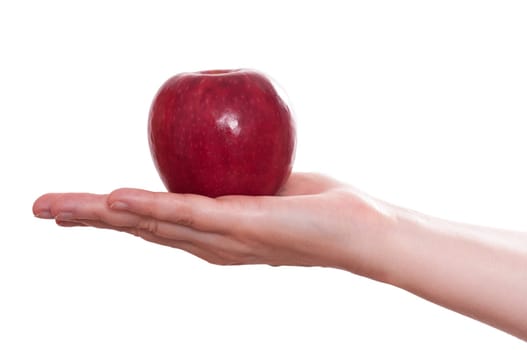 White isolated red apple on a female hand