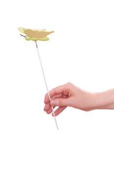Female hand holding a green and yellow butterfly