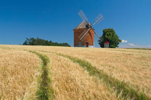 Brick windmill in a field of corn. Blue sky in the background. (Chvalkovice, Czech Republic)