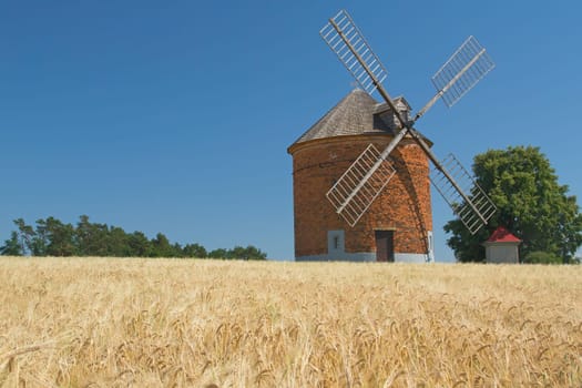 Brick windmill in a field of corn. Blue sky in the background. (Chvalkovice, Czech Republic)