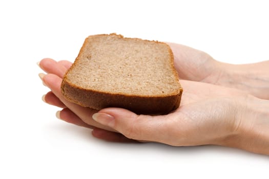 Piece of the pumpernickel in woman hands insulated on white background