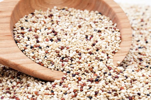 Mixed Quinoa seeds spilling from a wooden spoon.