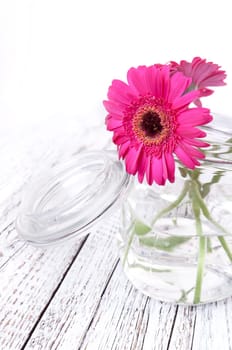 Spring Flowers