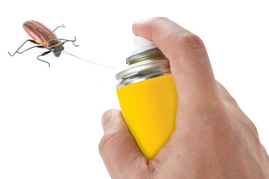 Spraying insecticide on cockroach. Isolated on white background