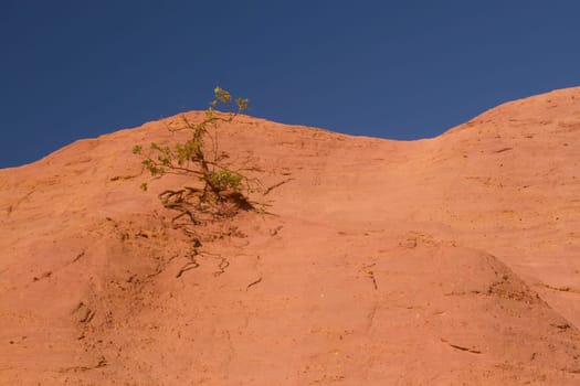 Tree growing on an orange ocher hills and blue sky in the background. Ocher rocks (French Colorado) near Rustrel (Provence, Southern France)