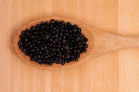 Close-up of black beluga lentils on a spoon