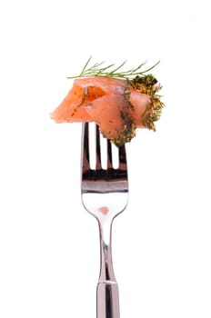 White Isolated Marinated Salmon with Dill