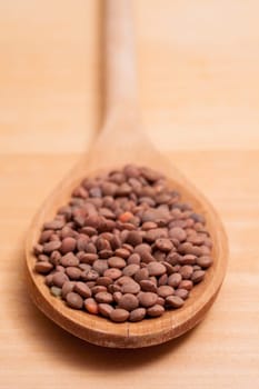 Close-up of healthy brown organic lentils