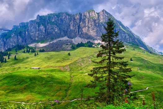 Hike on the Pragel Pass