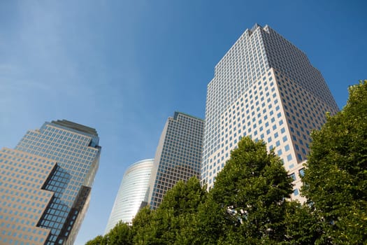New York City building behind trees