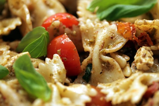 fresh noodle salad
