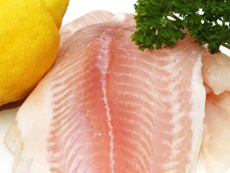 Pangasius