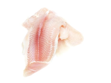 Pangasius